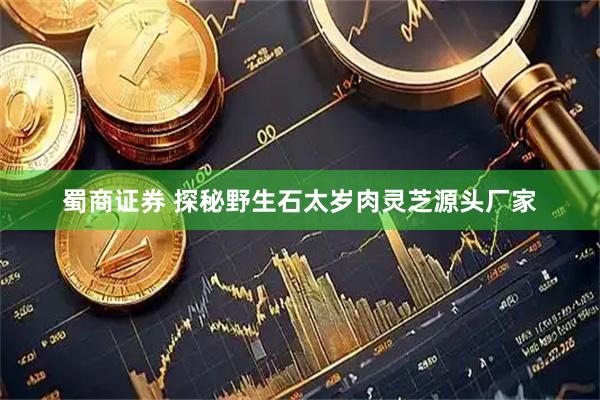 蜀商证券 探秘野生石太岁肉灵芝源头厂家
